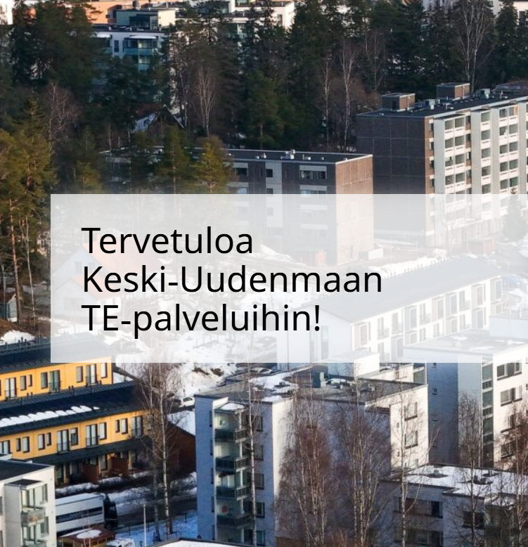 Saavutettavuustestauksen tulos